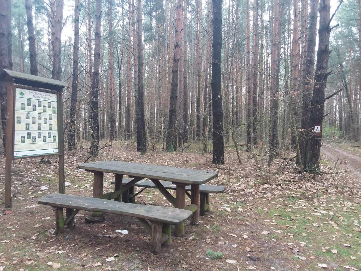 Dworek Akacja Uslugi Hotelarskie Яновец Экстерьер фото