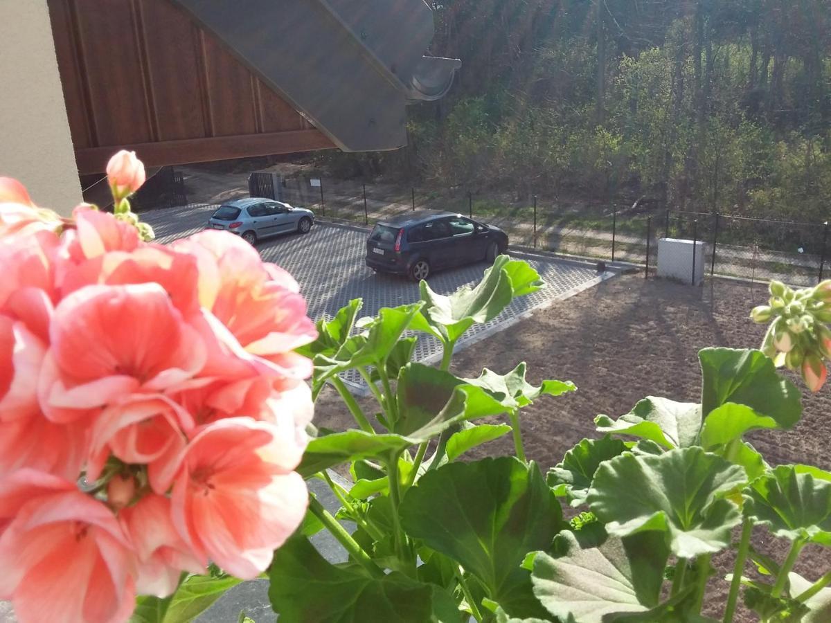 Dworek Akacja Uslugi Hotelarskie Яновец Экстерьер фото