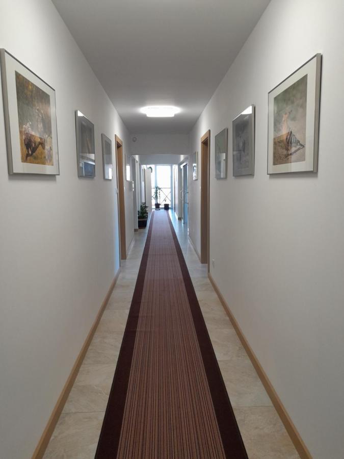 Dworek Akacja Uslugi Hotelarskie Яновец Экстерьер фото